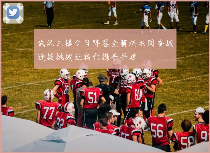 武汉三镇今日阵容全解析共同奋战迎接挑战让我们携手并进
